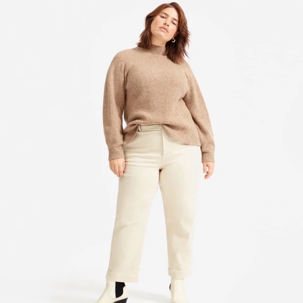 Everlane Straight Leg Crop Pant Sandstone Size 10
